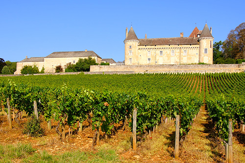 Burgundy France - Vineyard