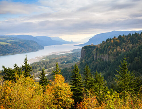 Pacific Northwest & California